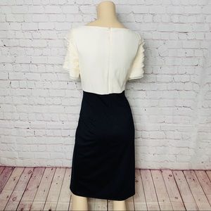 Tadashi Shoji Dresses - TADASHI COLLECTION Dress Black/Beige Pleated Sz 10 Tadashi Shoji Dresses - TADASHI COLLECTION Dress Black/Beige Pleated Sz 10